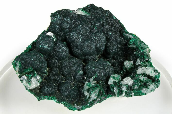 Cerussite Crystals on Botryoidal Malachite - Congo #368201